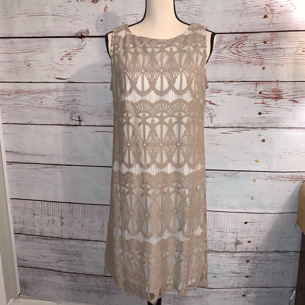 Ronni Nicole Lace dress - Picture 1 of 4